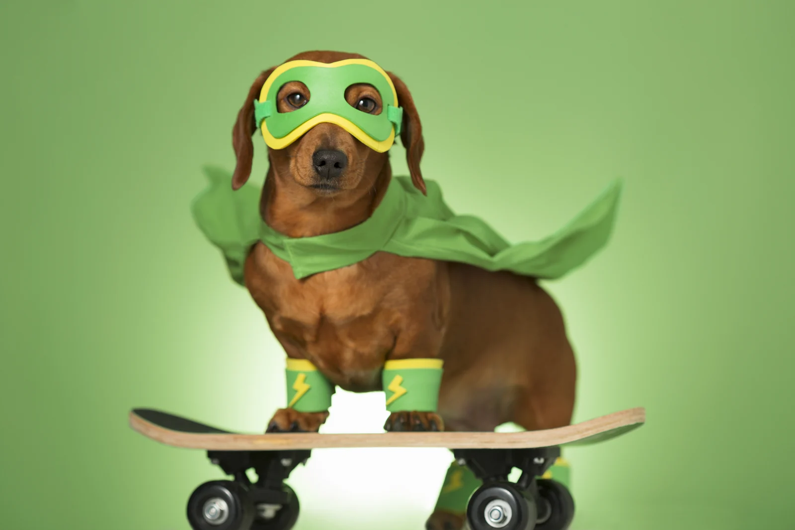 A dachshund in a green superhero mask and cape, riding a skateboard