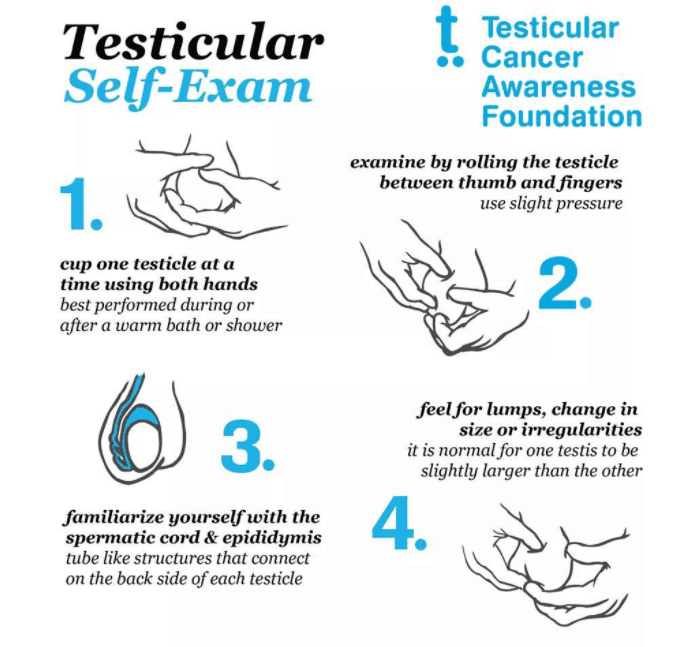 list of steps to self examine testicles 